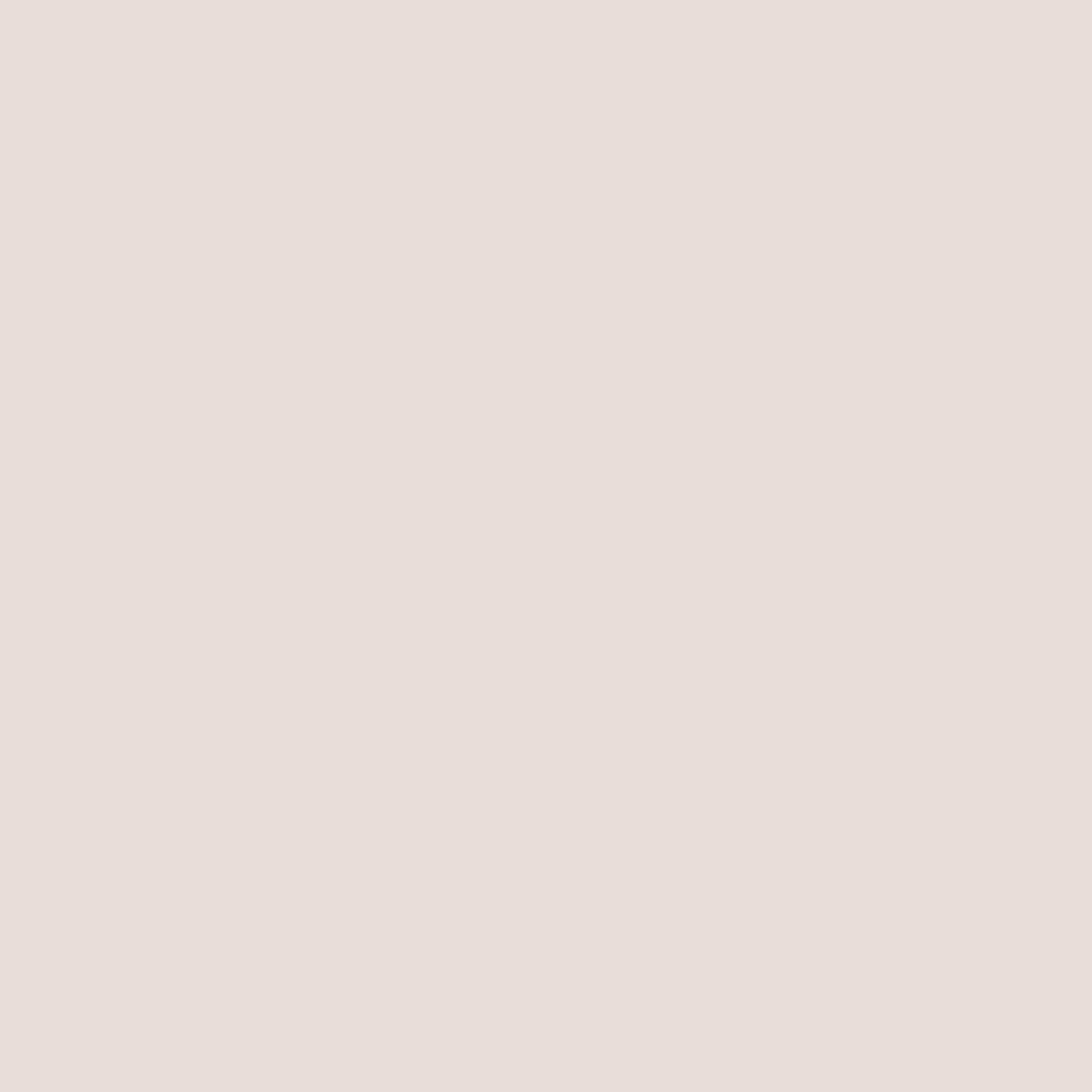 SET OF FIVE PHOTOS - Brand Building Collection - Pink, Tea, and Cookies - Set 12